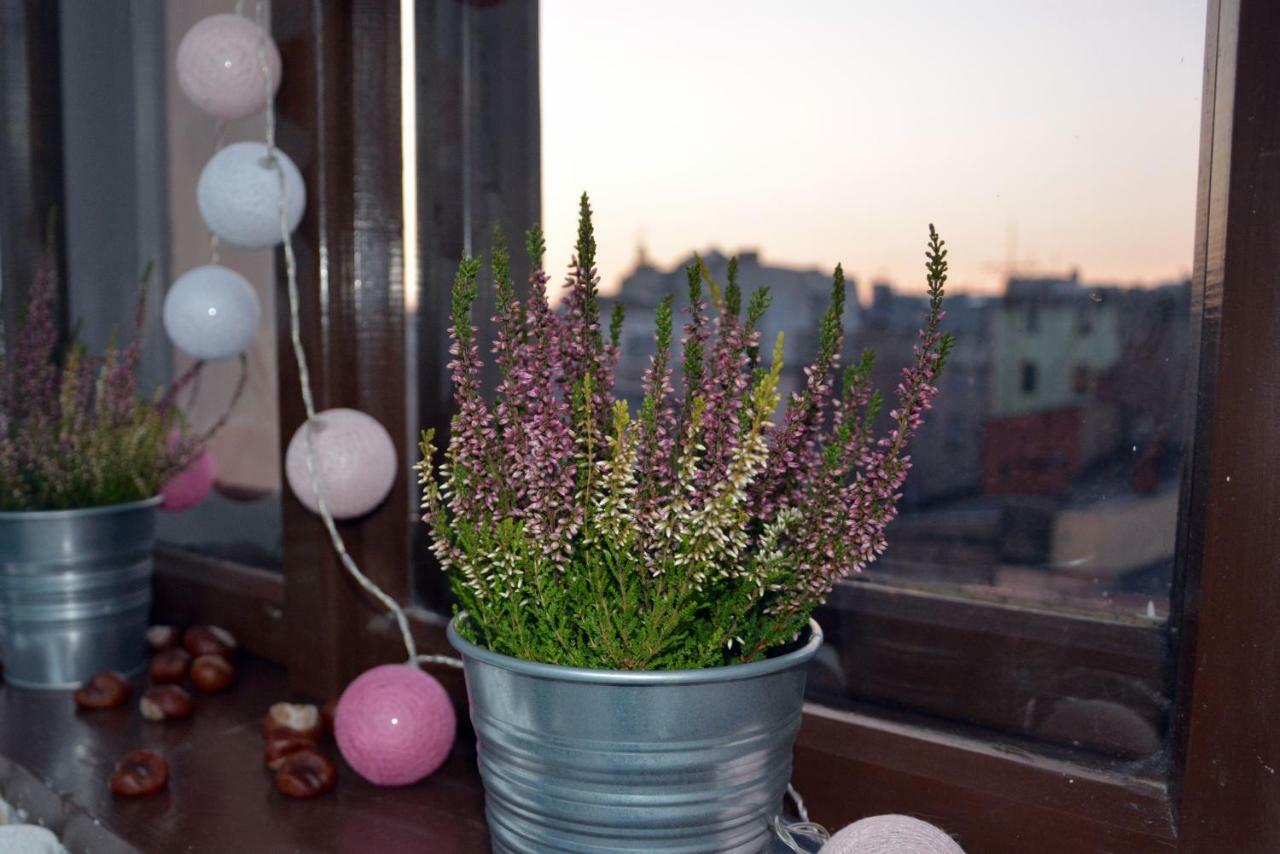 Apartament Bartolomeo Stary Toruń エクステリア 写真